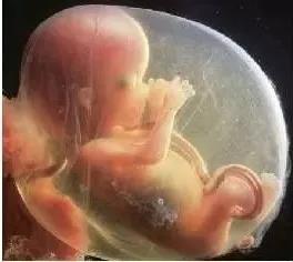 再也不用往返跑省城了，感謝醫(yī)生助我懷上了寶寶~~