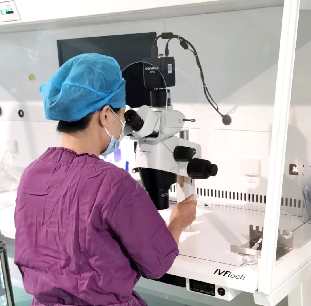 【喜訊】保山首例無精子癥通過試管嬰兒技術(shù)助孕成功！